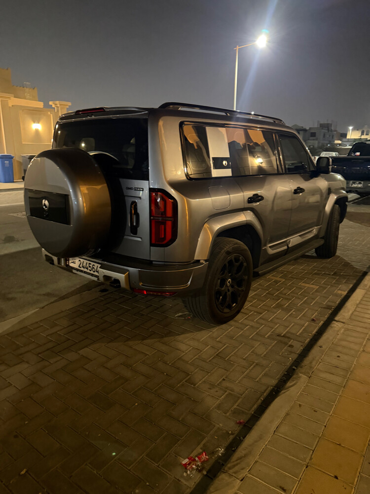 دينزا فلاك شب - 3