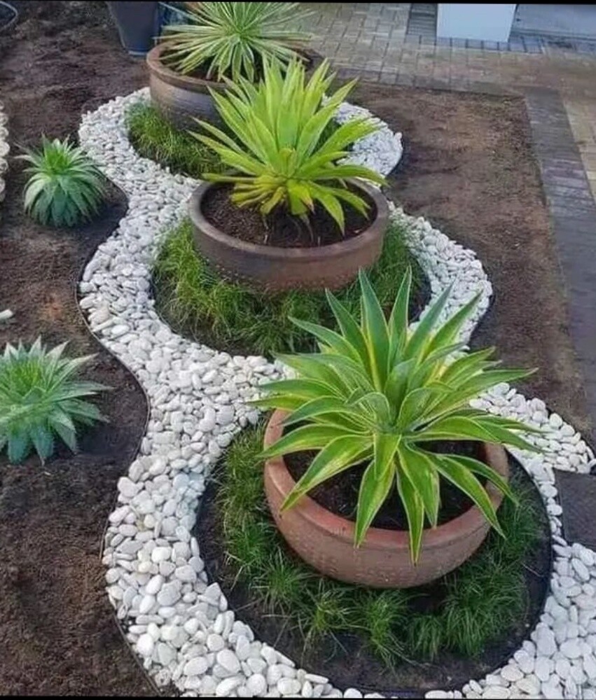 نباتات متنوعة - 3