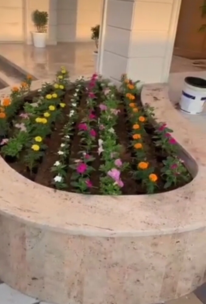 نباتات متنوعة - 2