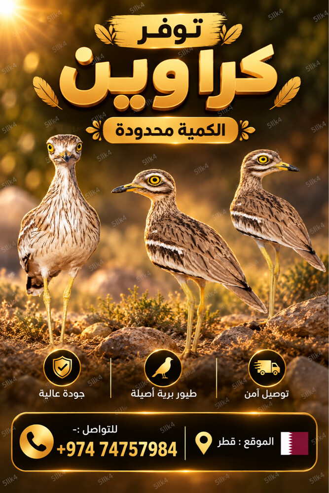 كراوين .الكميه محدوده - 1
