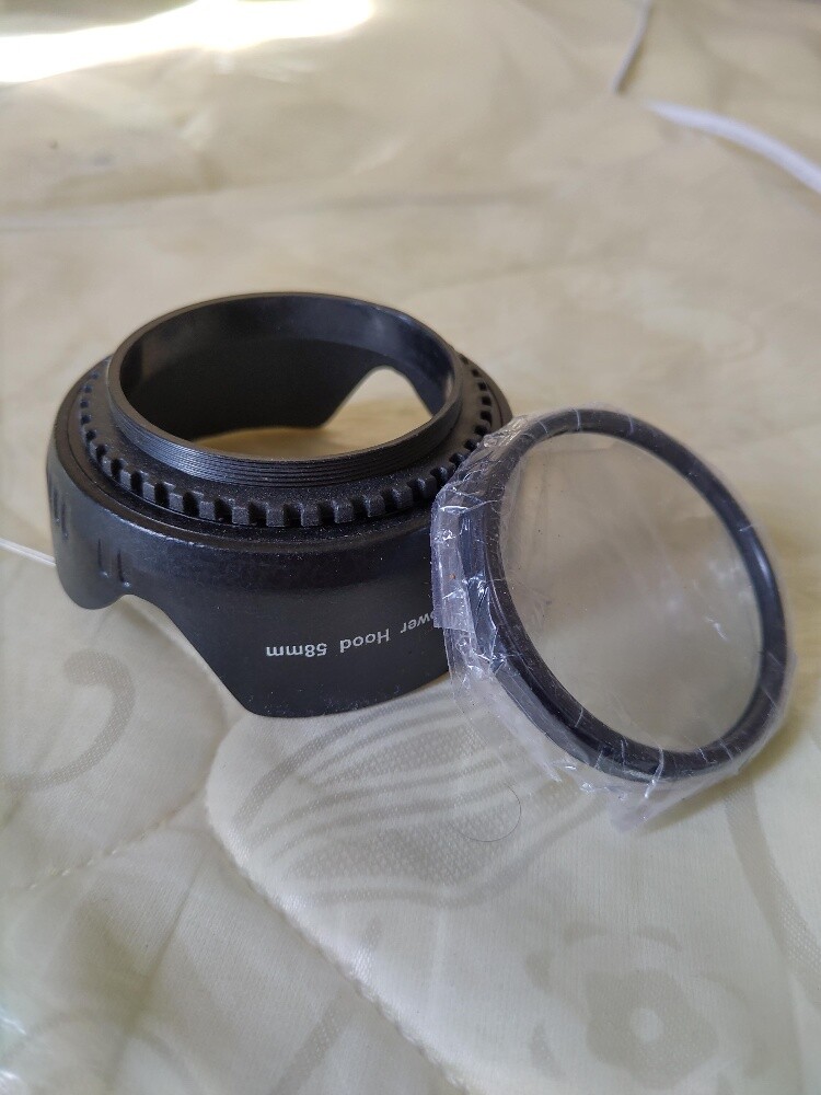 Canon DSLR Hood and Lens - 2
