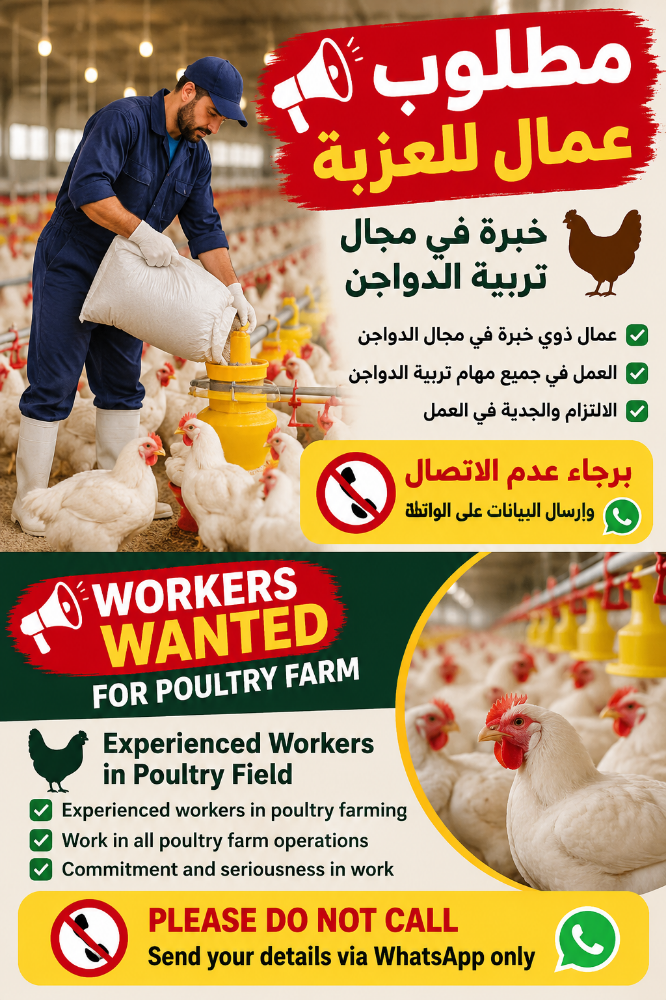 Experienced Poultry Farm Workers Wa - 2