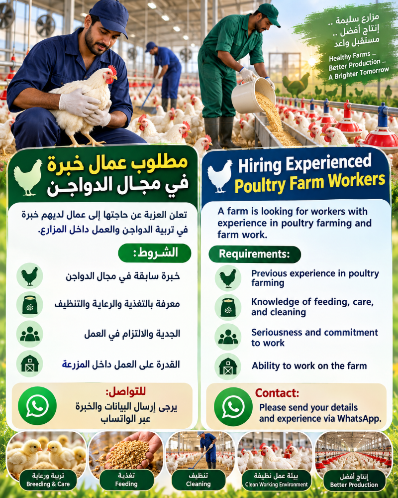 Experienced Poultry Farm Workers Wa - 1