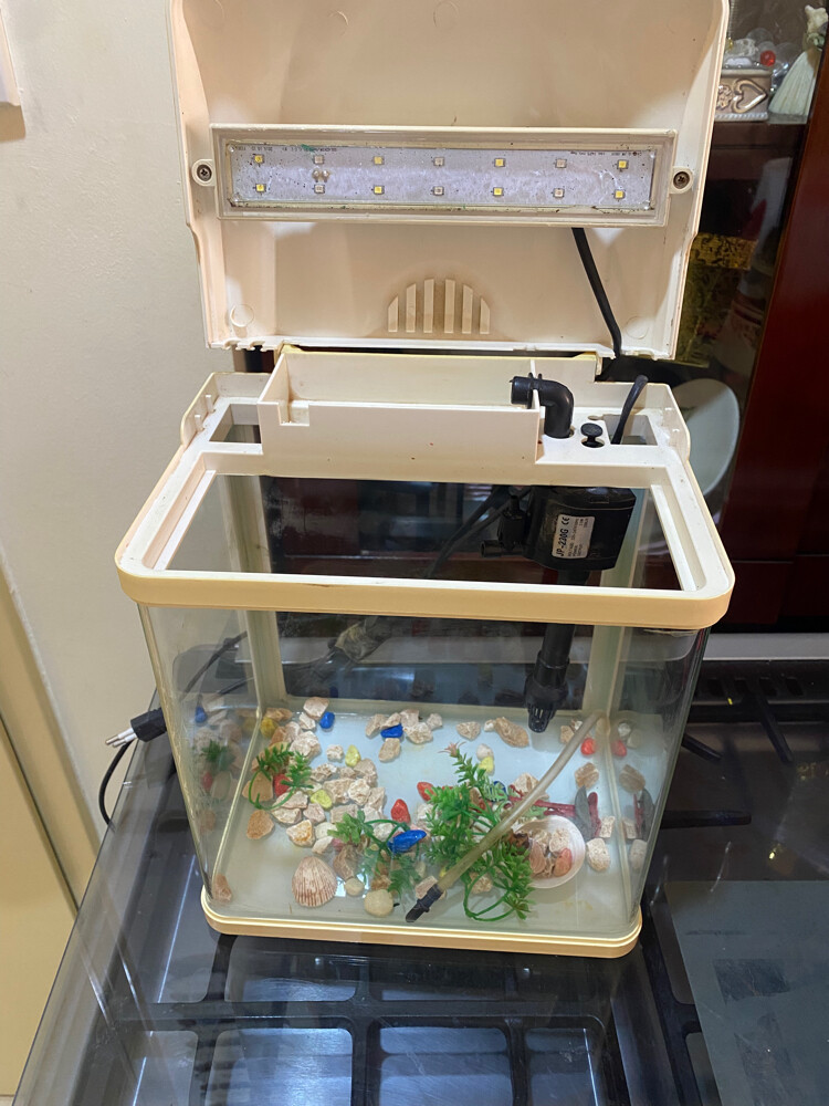 fish tank  - 2