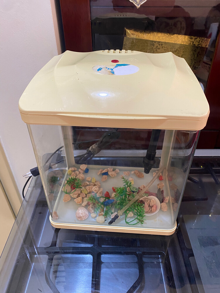 fish tank  - 3