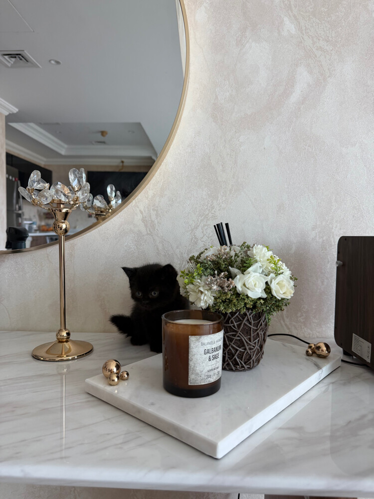 سكوتش ستريت  - 4