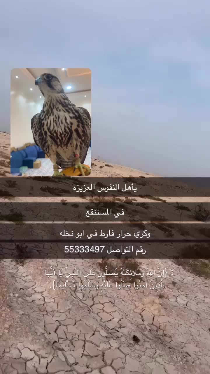 صالح - 1