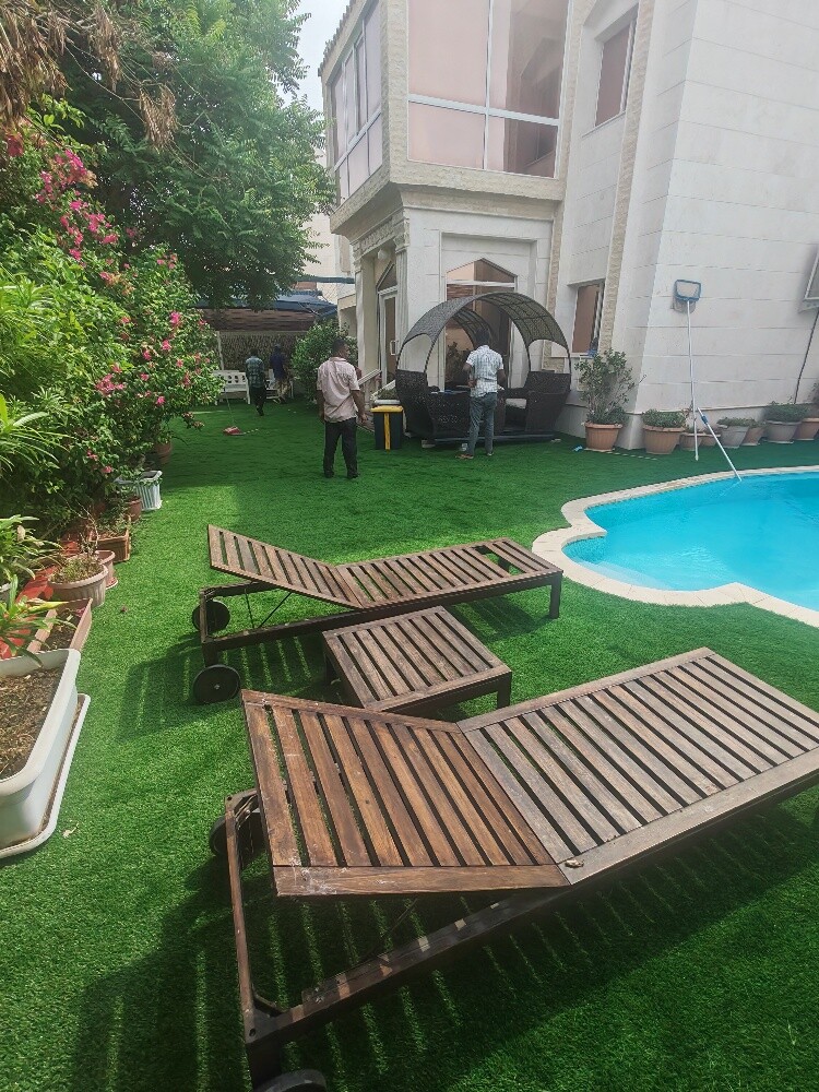 Artificial grass, grass carpet - 1