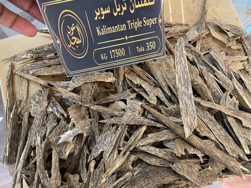 عود المجد في العزيزية  - 11