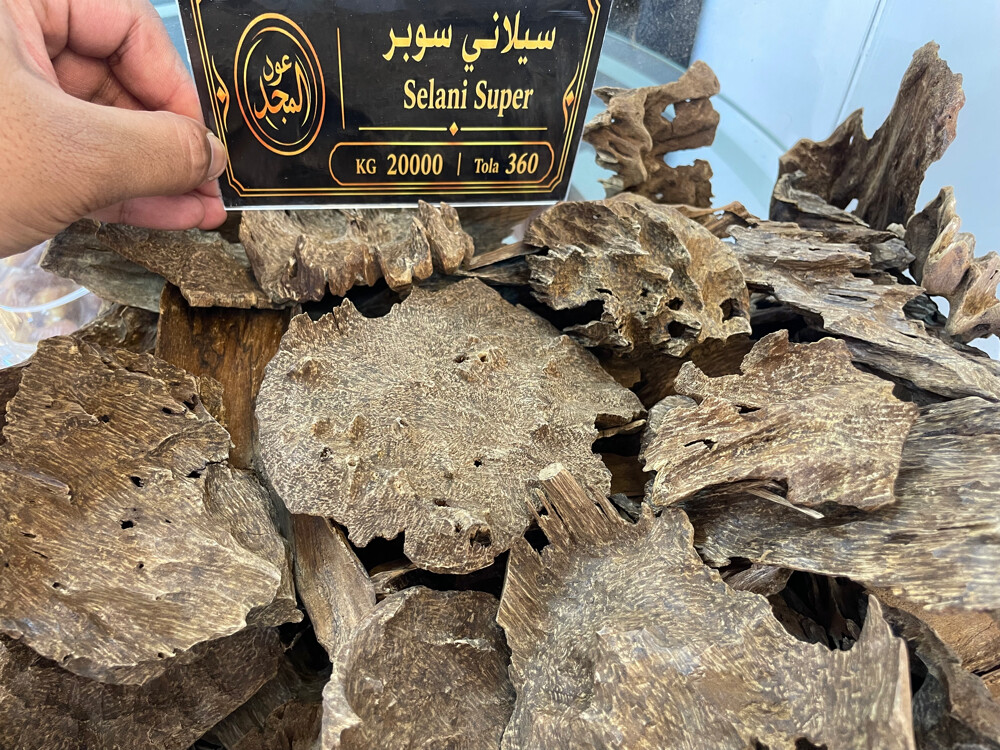 عود المجد في العزيزية  - 6