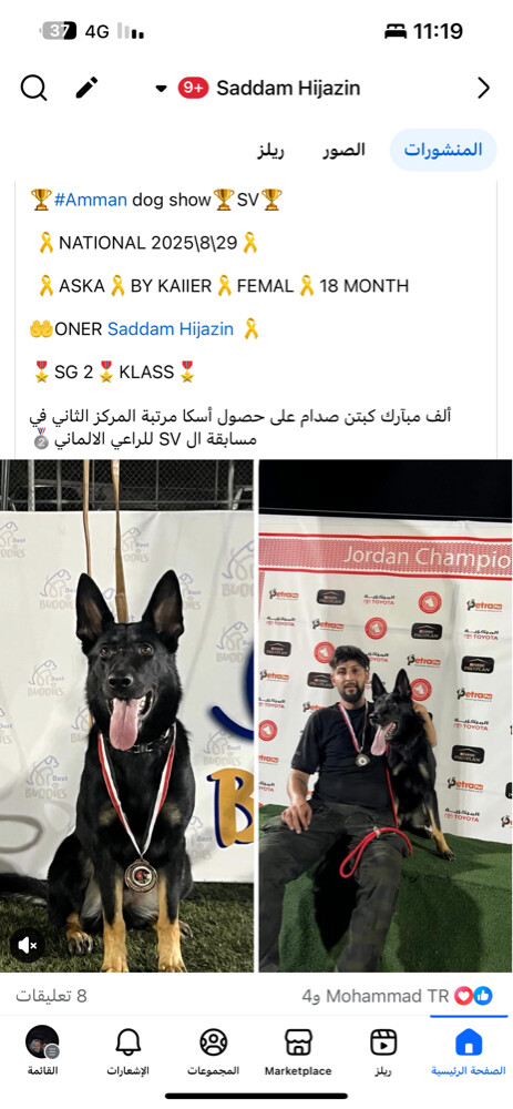 صدام حجازين - 4
