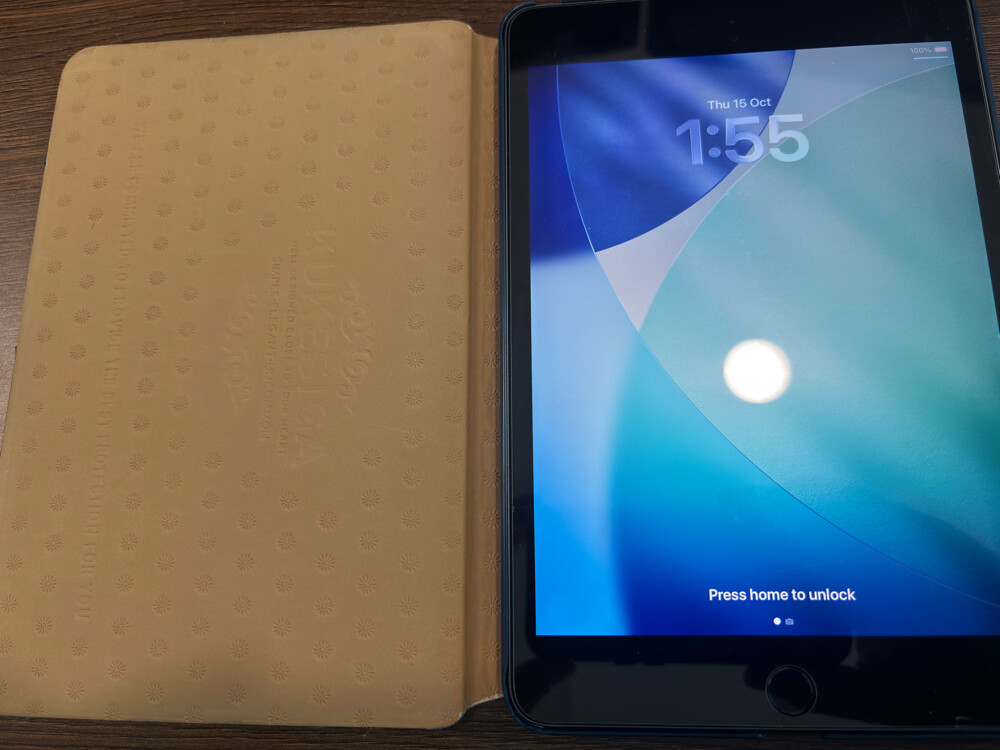 ipad mini 5 - 1