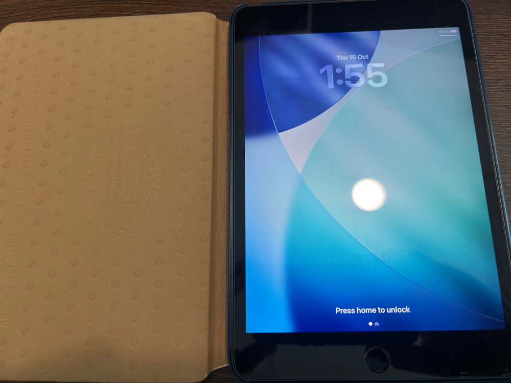 ipad mini 5 - 12