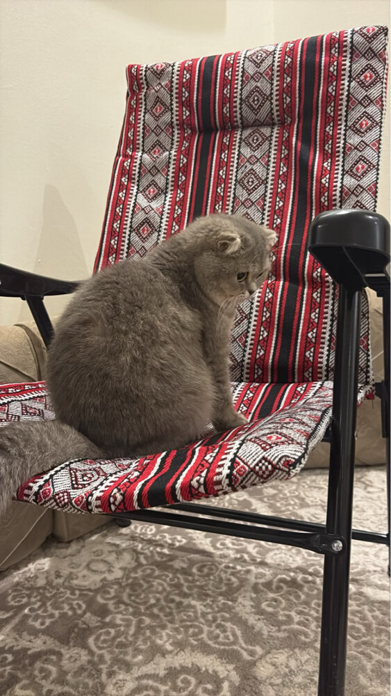 ميلا - 1