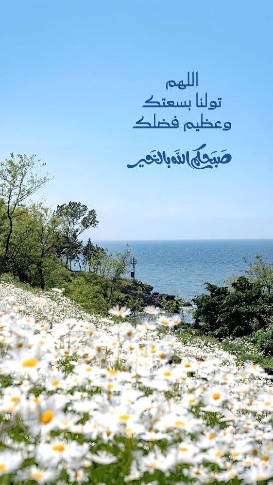 صيانة عامة - 6