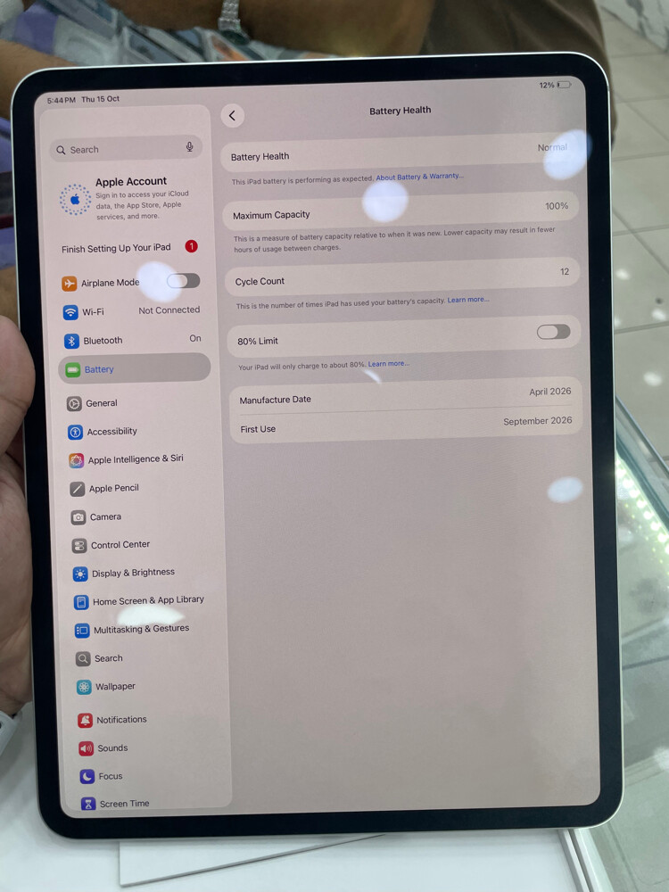 iPad Pro 13 M5 1month use only - 4