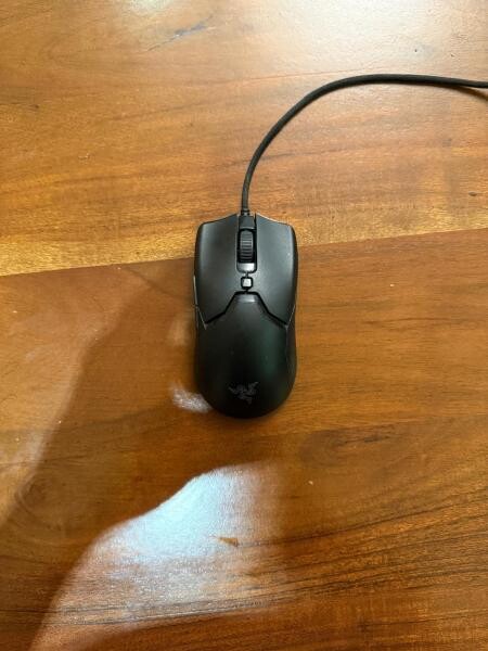 RAZER VIPER MINI - 1