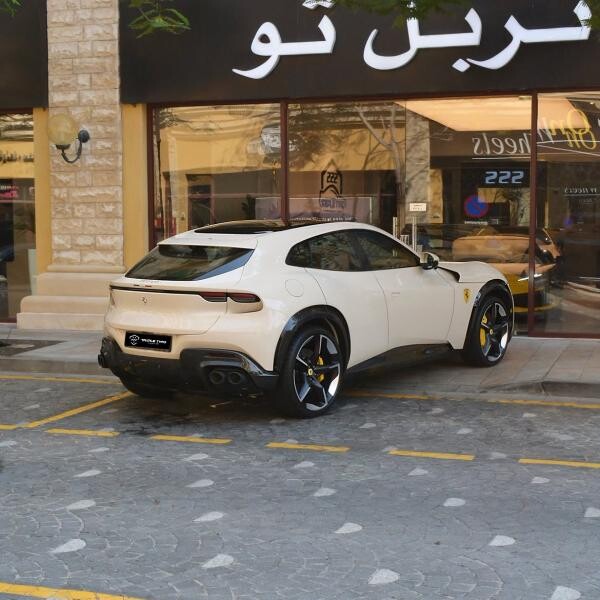 فيراري بوروسانجوي 2026 - 14