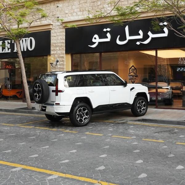 دونغفنغ ميهيرو 2026 - 5