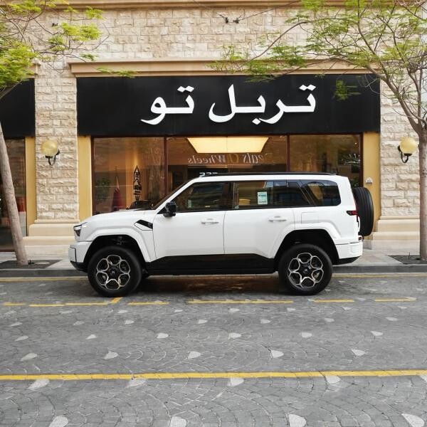 دونغفنغ ميهيرو 2026 - 3