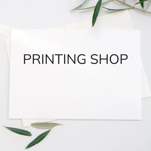 INVESTMENT OPPORTUNITY IN PRINTING - 1