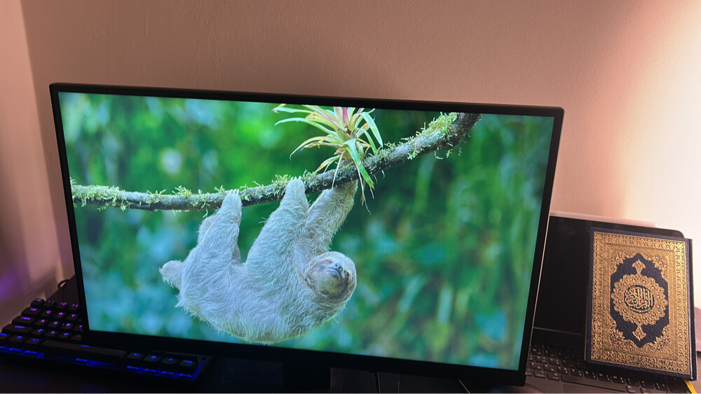 Koorui 24”monitor 144hz URGENT SALE - 1
