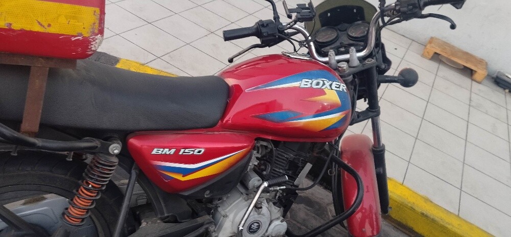 boxer bike - 3