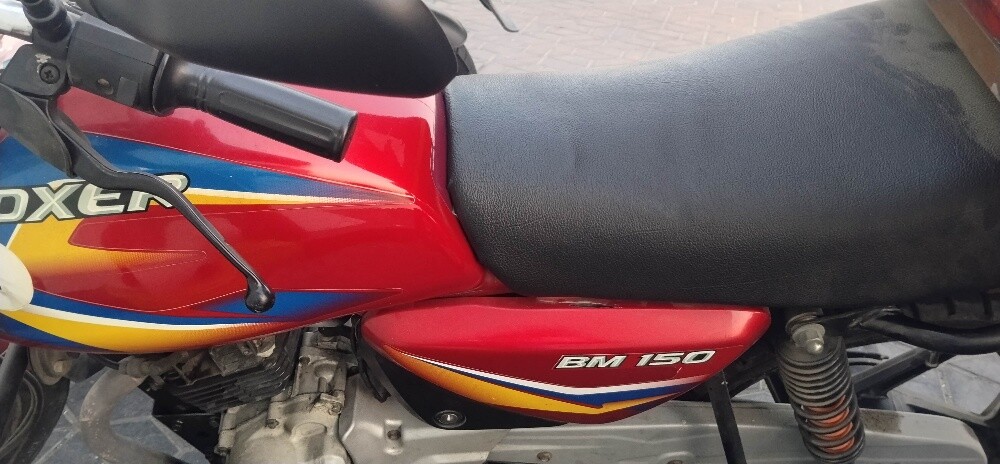 boxer bike - 2