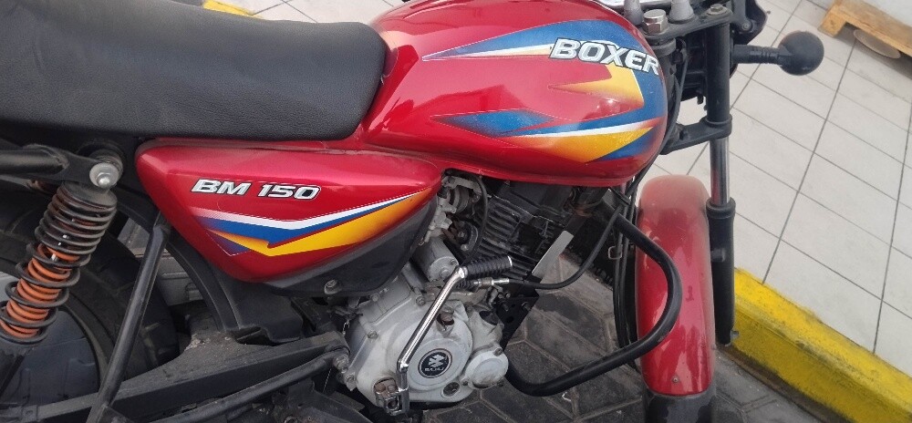 boxer bike - 4
