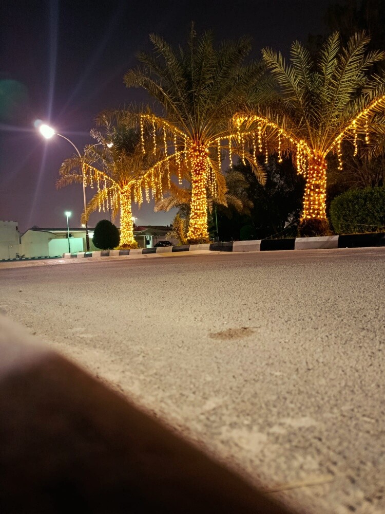 جميع انواع الليتات والاضواء - 19