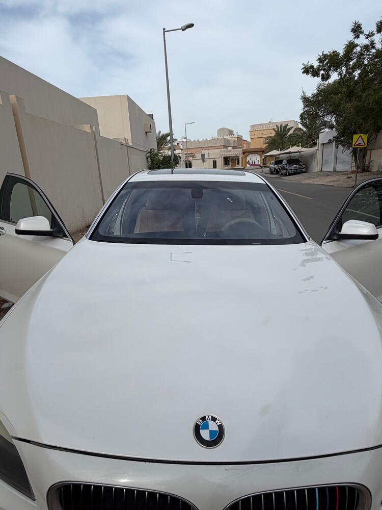 bmw 750 li v8 twin turbo - 10