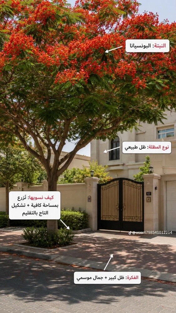 قص العشب وعنايه شهريه للحدائق - 6