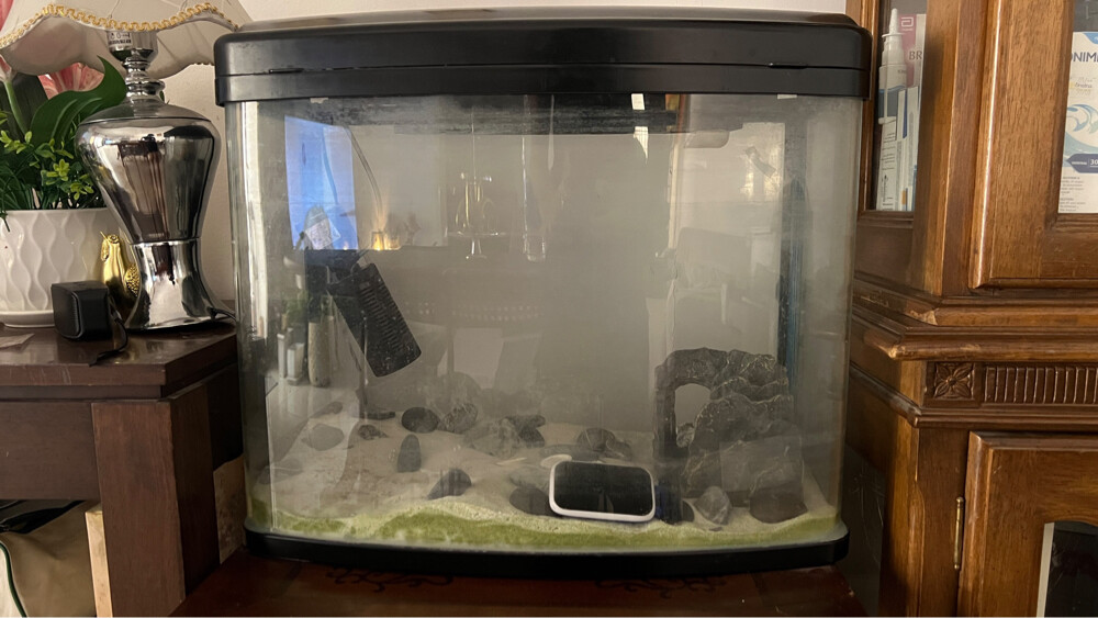 aquarium - 1