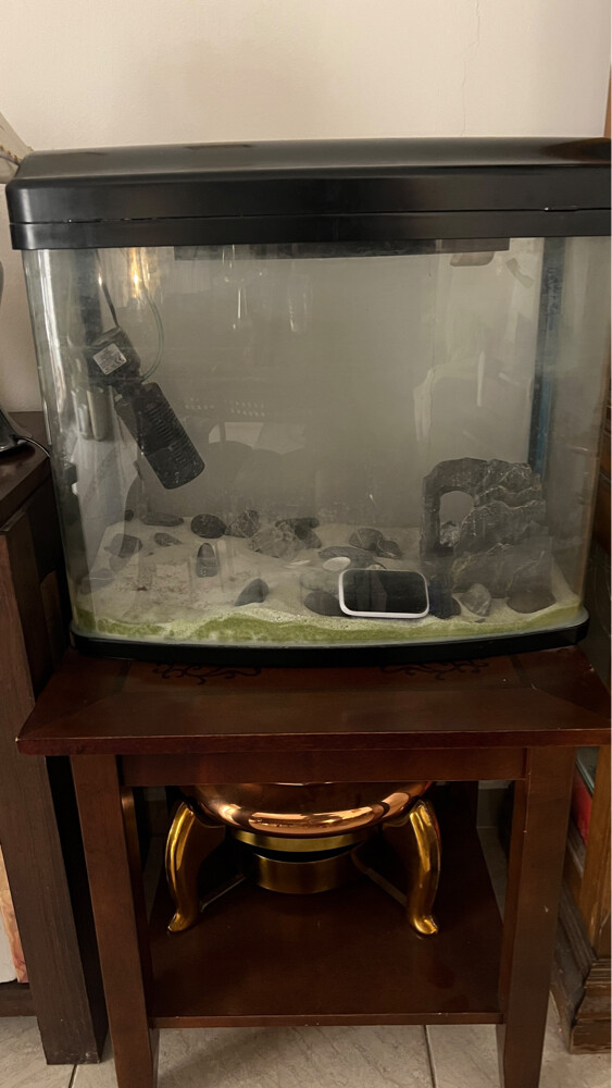 aquarium - 2