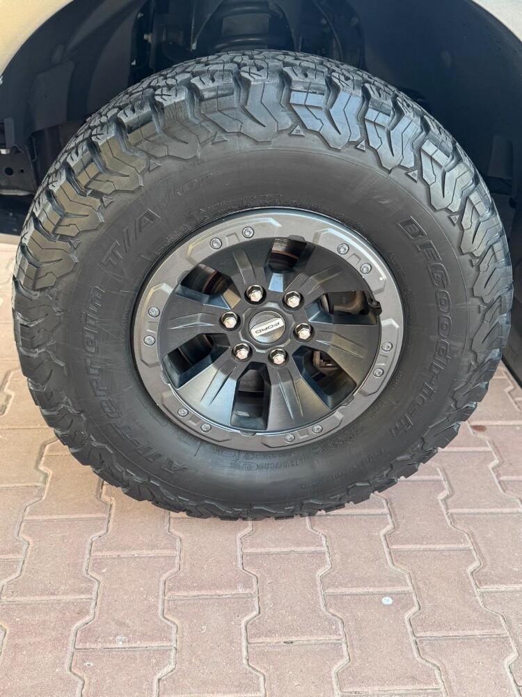 Ford Raptor F-150 (Twin Turbo) - 7