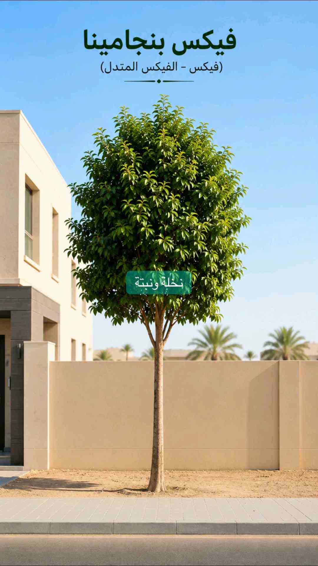 عقود شهرية لصيانه الحدائق - 1