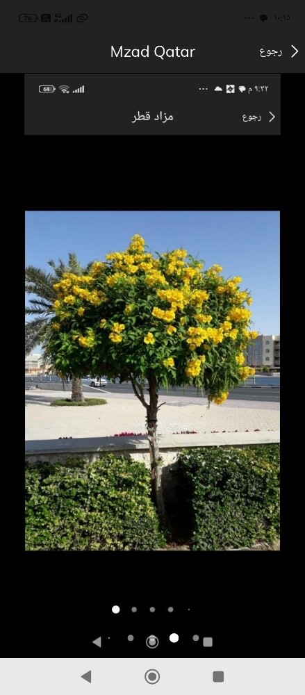 قص العشب وعنايه شهريه للحدائق - 4