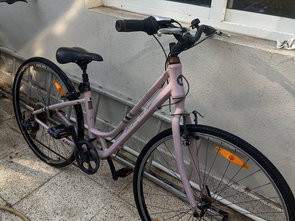 Liv Flourish bike (Giant Company) - 1