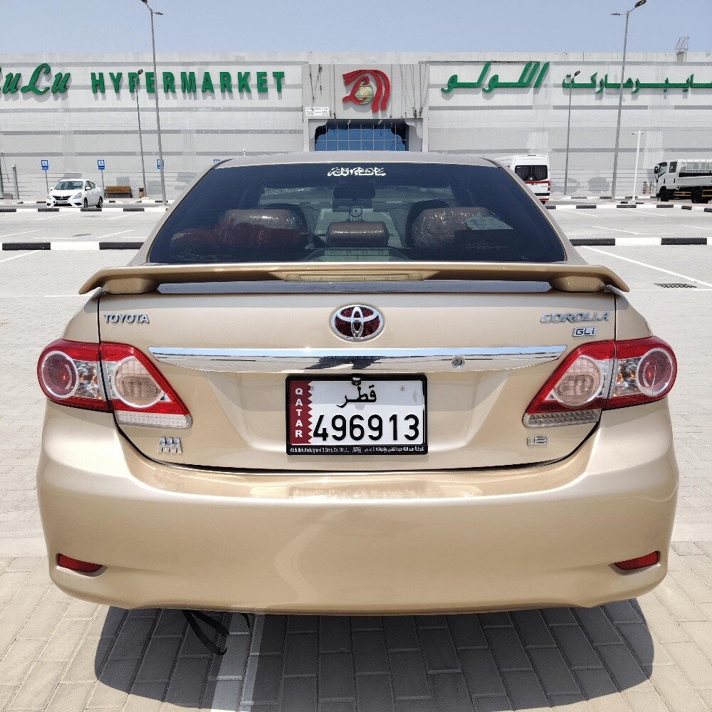 Muhammad Waleed - 1