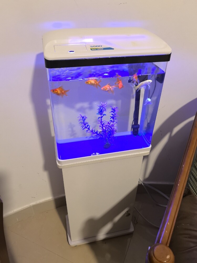 New Aquarium with Stand - 1