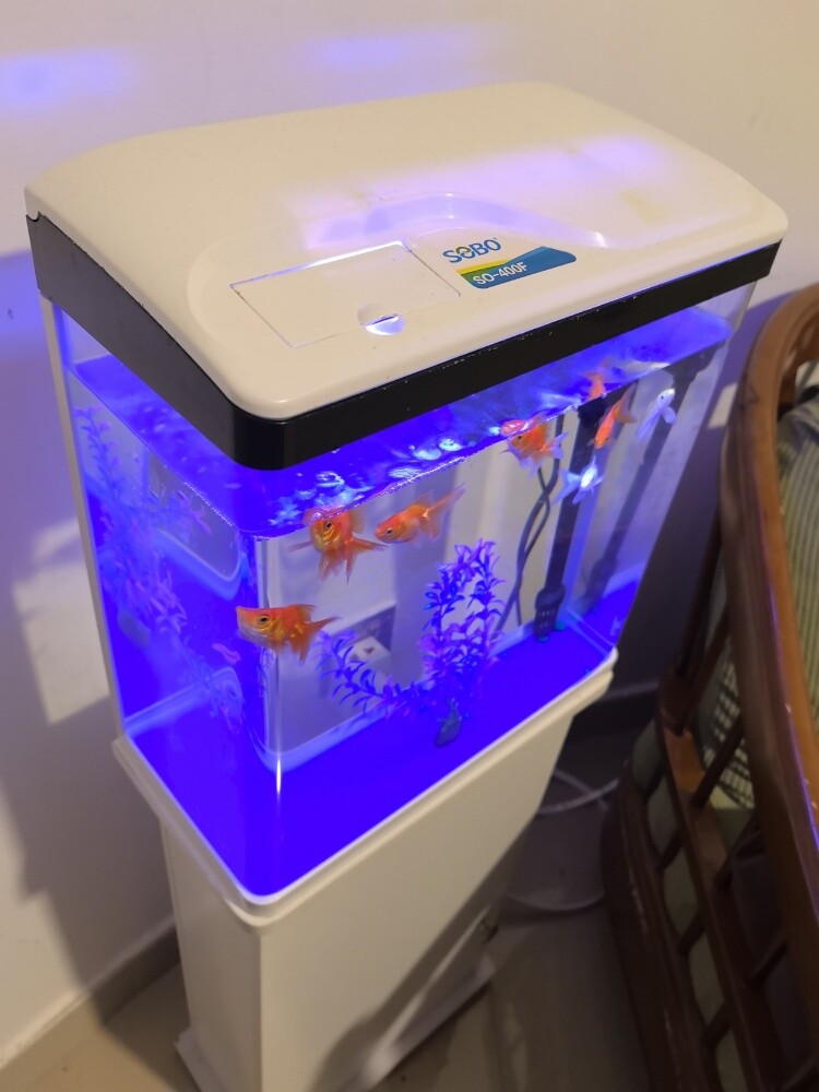 New Aquarium with Stand - 2