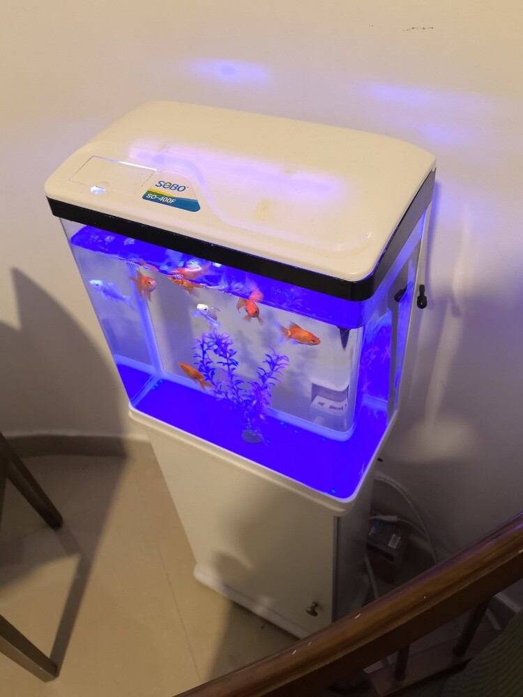 New Aquarium with Stand - 3