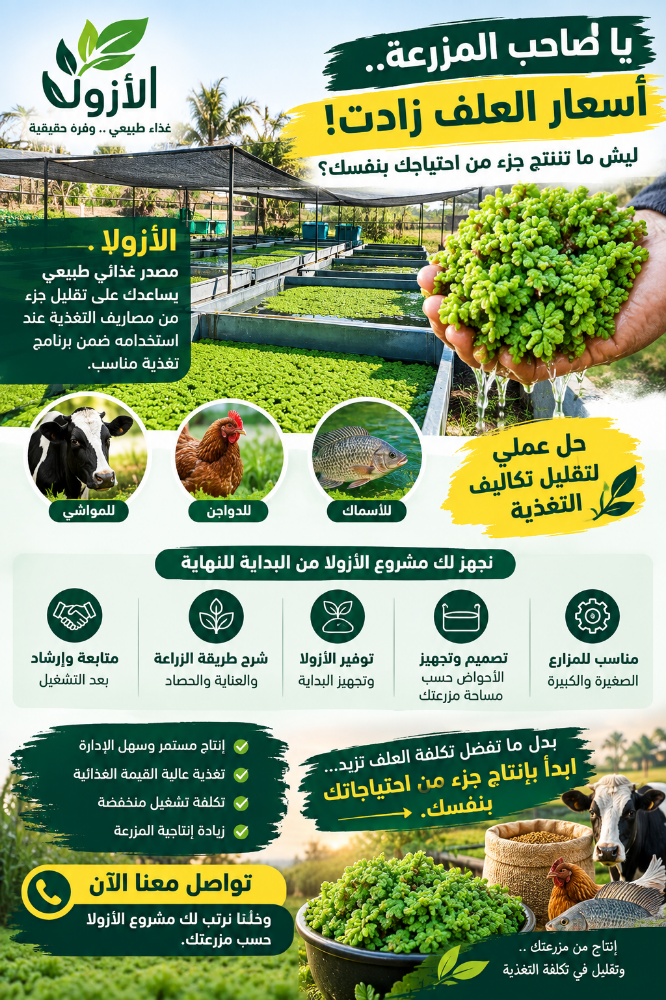 استغن عن العلف بزراعه الازولا - 1