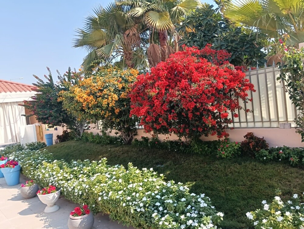 مزارع زراعة وصيانه وترتيب الحدائق - 1