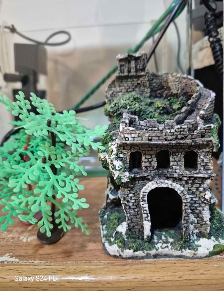 New Aquarium with Full Accessories - 7