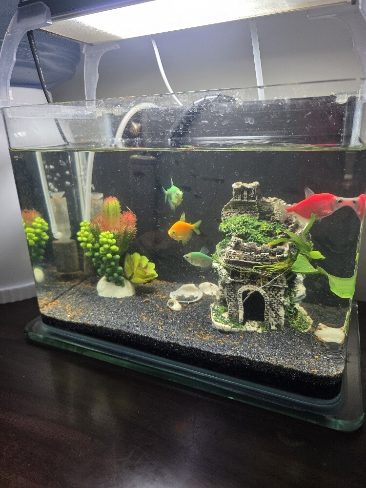 New Aquarium with Full Accessories - 5