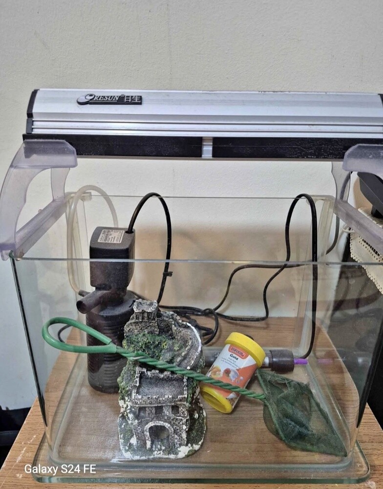 New Aquarium with Full Accessories - 8