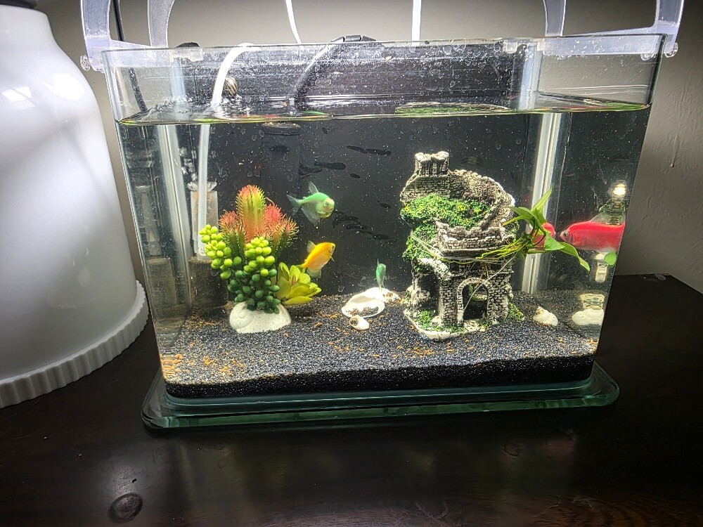 New Aquarium with Full Accessories - 1