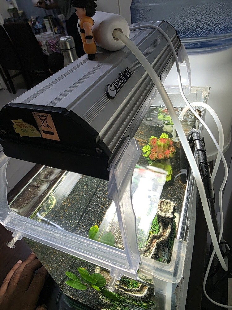 New Aquarium with Full Accessories - 3