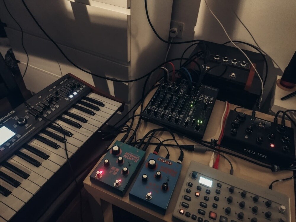 ZEN DELAY — instrument fx pedal - 5